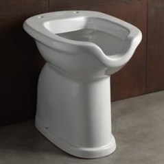 floor-mounted-sanitary-toilet-for-the-elderly-and-disabled-456_1544697965_9655